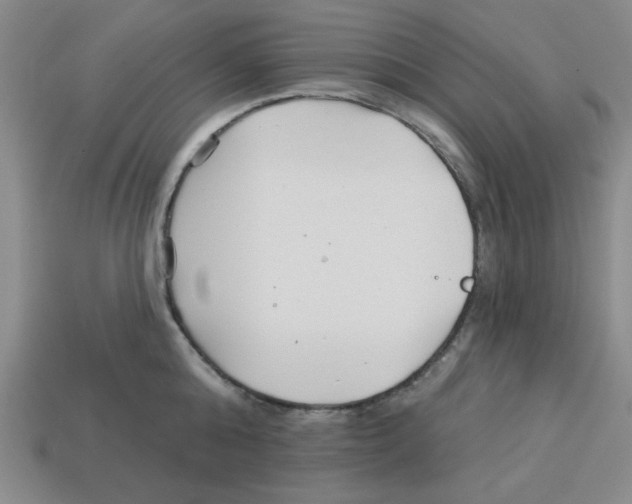 X0000113160808200910021500