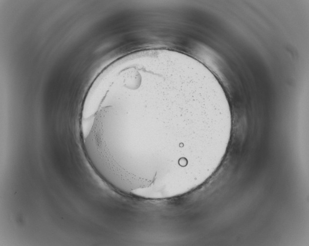 X0000113160810200910021500