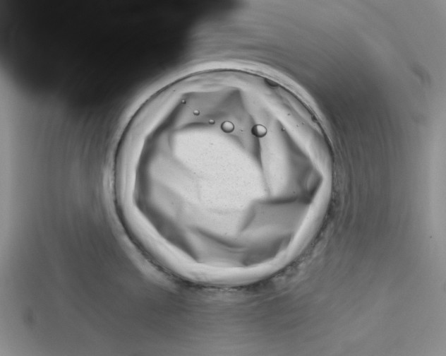 X0000113160811200910021500