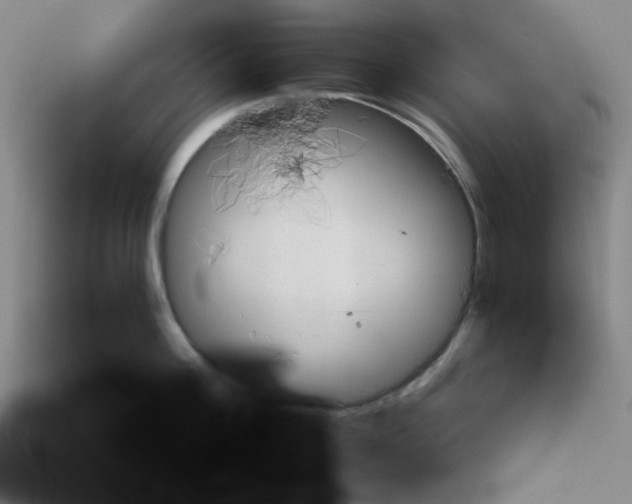 X0000113160812200910021500