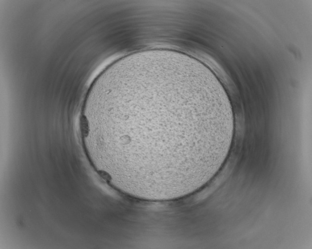 X0000113160814200910021500