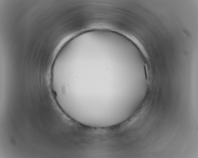 X0000113160815200910021500