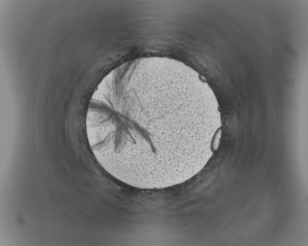 X0000113160817200910021459