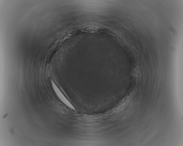 X0000113160818200910021459