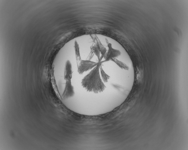 X0000113160819200910021459