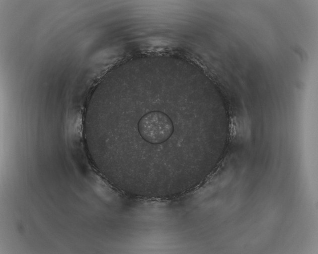 X0000113160820200910021459