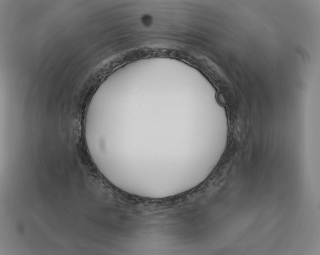 X0000113160821200910021459