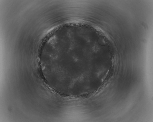 X0000113160822200910021459