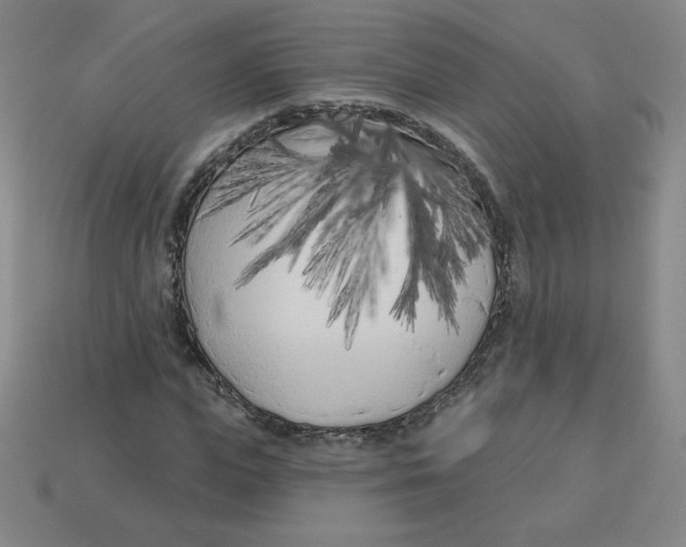 X0000113160823200910021459