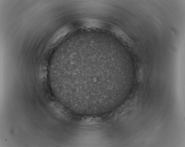 X0000113160824200910021459