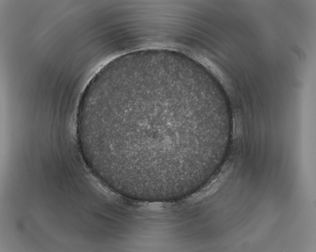 X0000113160828200910021459