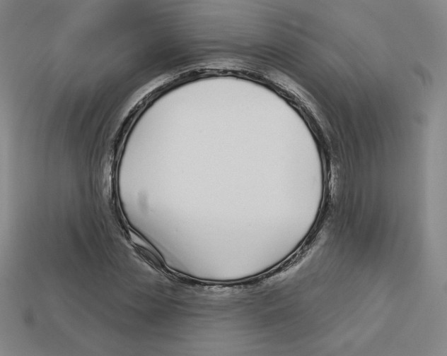 X0000113160829200910021459