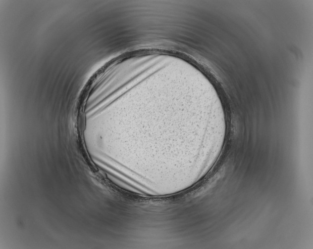 X0000113160830200910021459