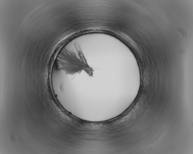 X0000113160831200910021459