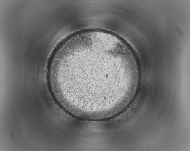 X0000113160832200910021459