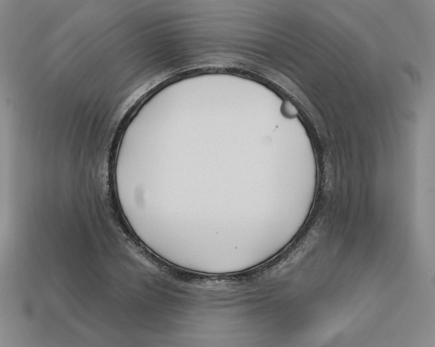 X0000113160834200910021459