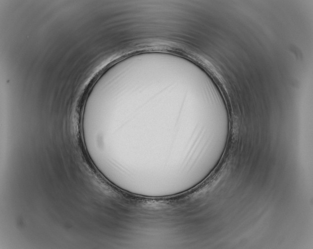 X0000113160835200910021459