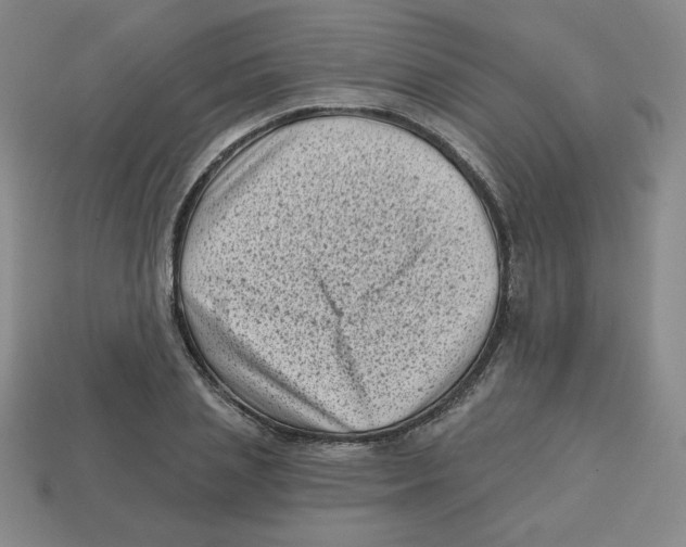 X0000113160837200910021459