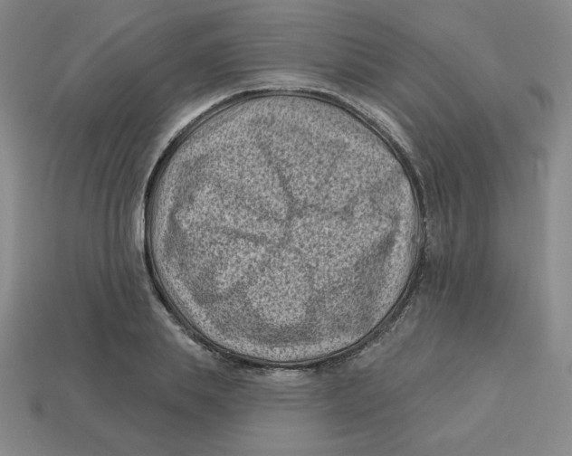 X0000113160839200910021459