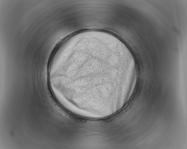 X0000113160840200910021459