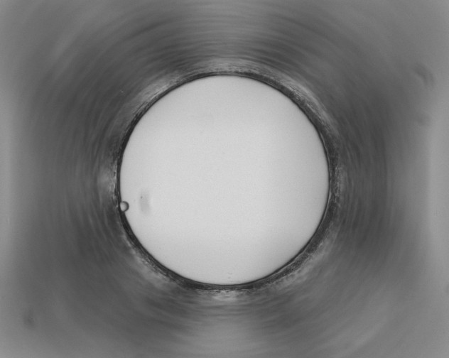 X0000113160841200910021459