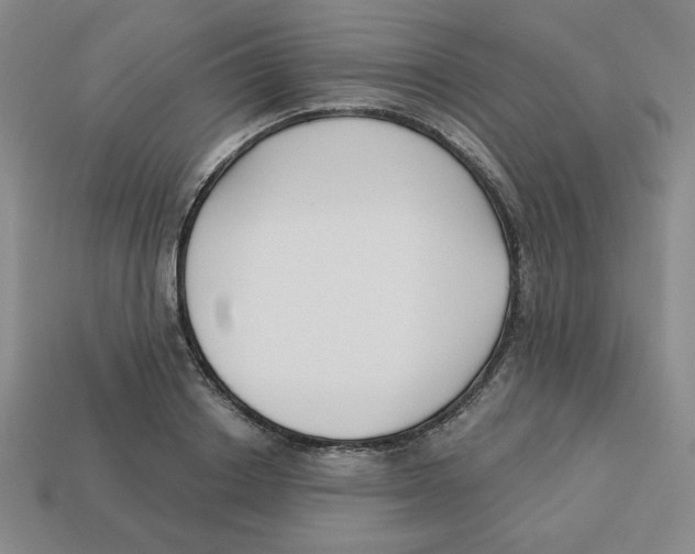 X0000113160842200910021500