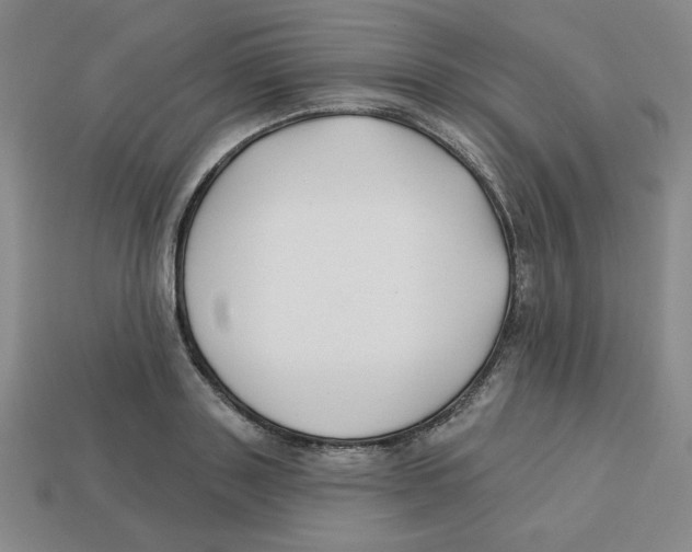 X0000113160843200910021500