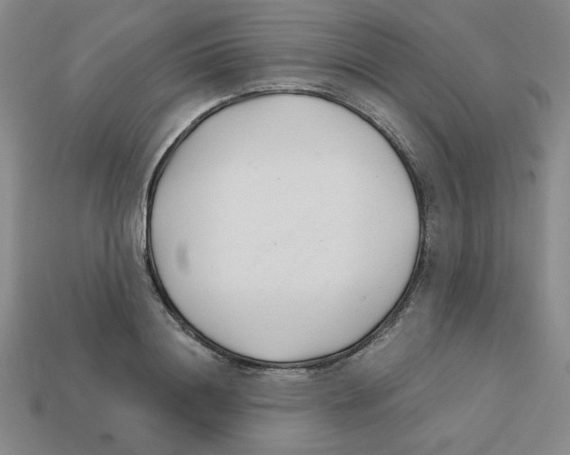 X0000113160844200910021500