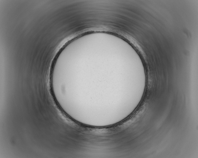 X0000113160845200910021500