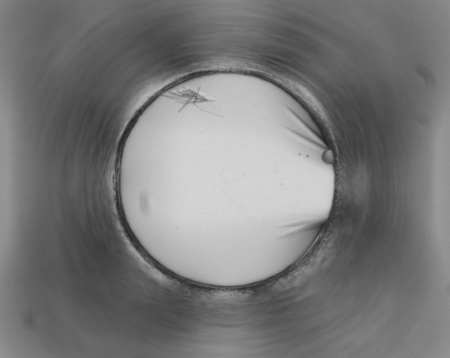 X0000113160847200910021500