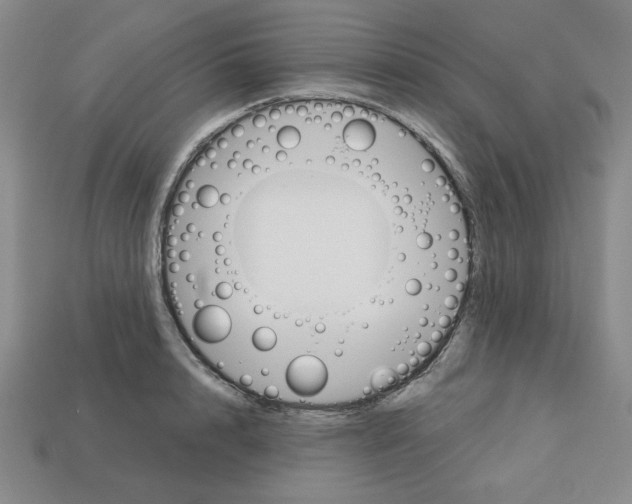 X0000113160848200910021500