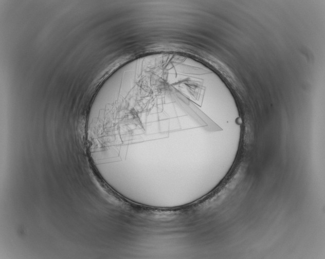 X0000113160849200910021500