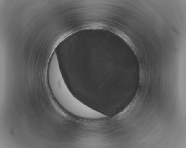 X0000113160850200910021500