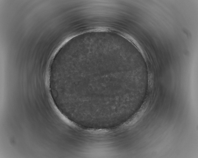 X0000113160851200910021500