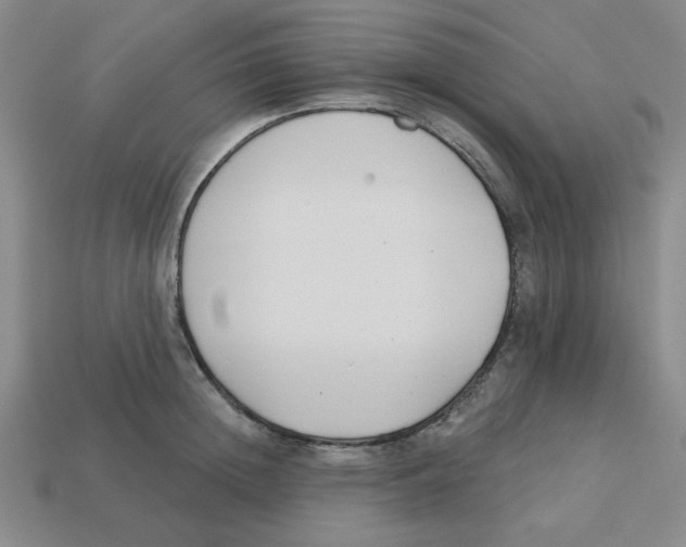 X0000113160852200910021500