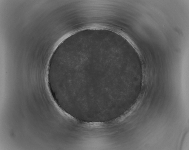 X0000113160853200910021500