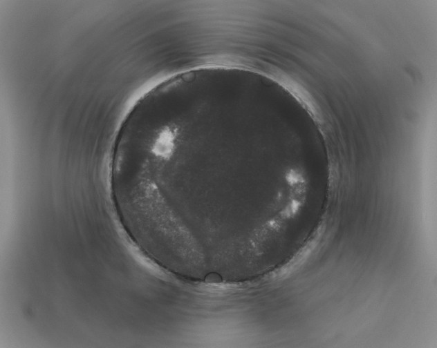 X0000113160854200910021500