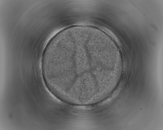 X0000113160855200910021500