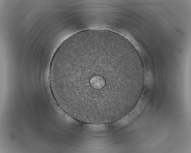 X0000113160856200910021500