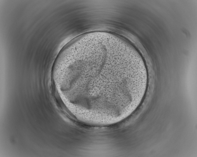 X0000113160858200910021500