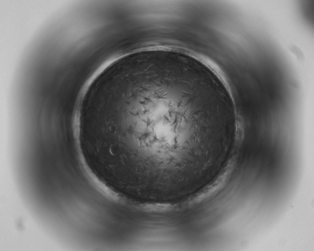 X0000113160859200910021500