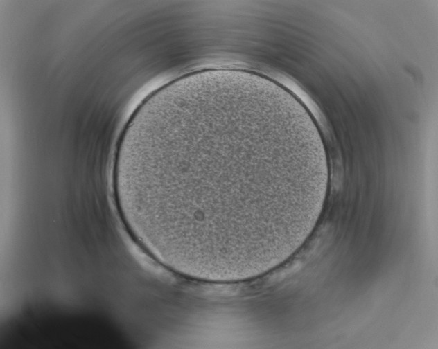 X0000113160861200910021500