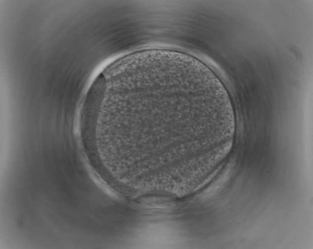 X0000113160862200910021500