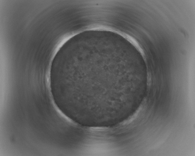 X0000113160863200910021500