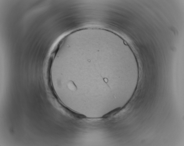 X0000113160864200910021500