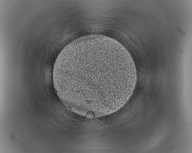 X0000113160866200910021459