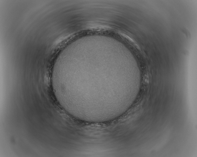 X0000113160869200910021459