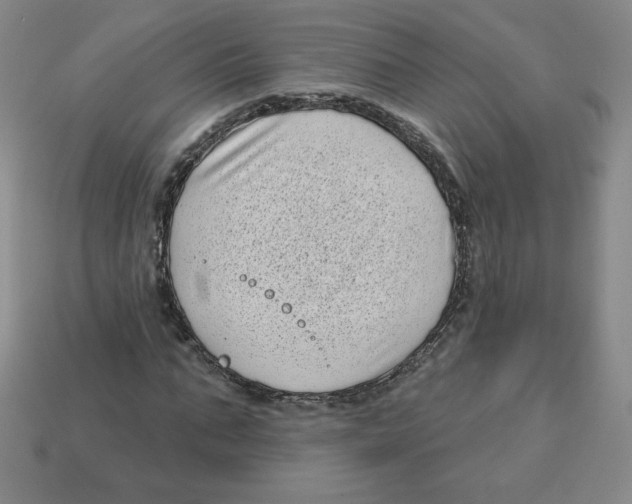 X0000113160871200910021459