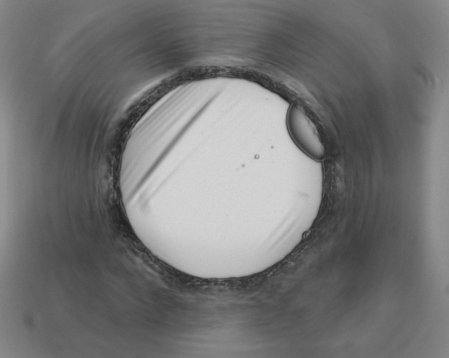 X0000113160872200910021459