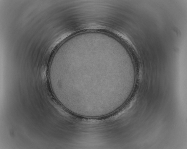 X0000113160873200910021459